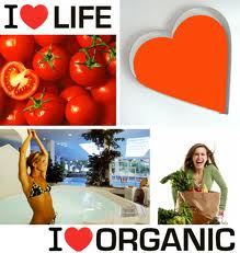 organic food | organic food singapore